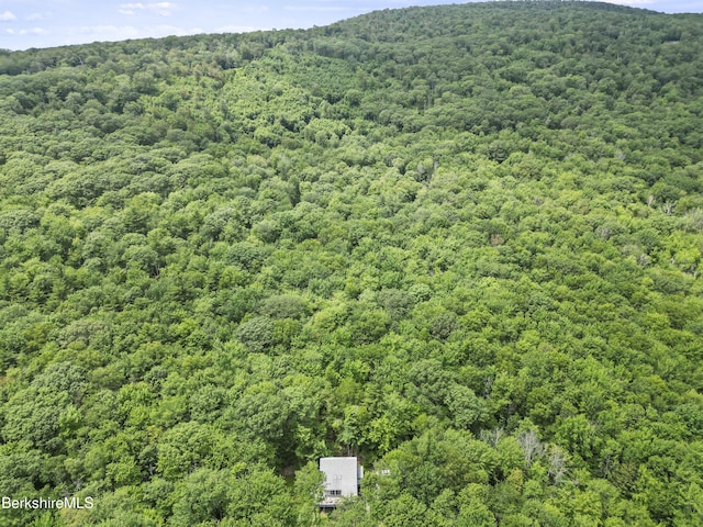 112 Silver St, Lanesborough, MA 01237 - bird's eye view of a forest