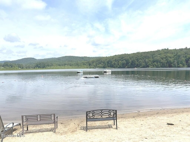 8 Brook Ln, Becket, MA 01223 - water view with a heavily wooded area
