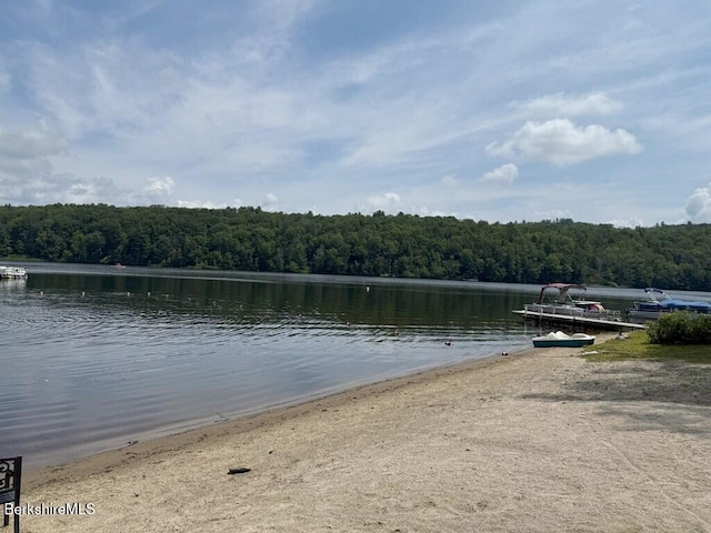 8 Brook Ln, Becket, MA 01223 - water view with a heavily wooded area