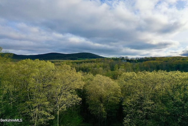 view of mountain feature