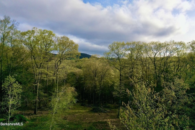 view of local wilderness