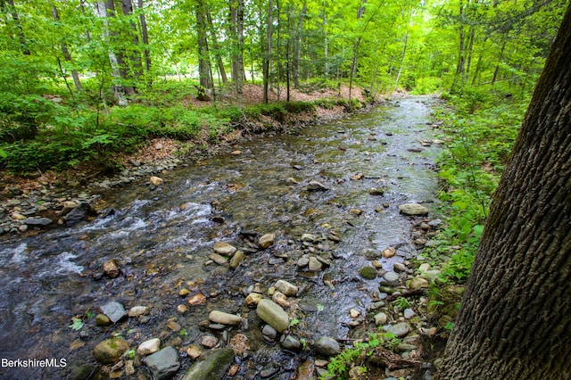 31 Oxbow Rd, Charlemont, MA 01339 - water view with a forest