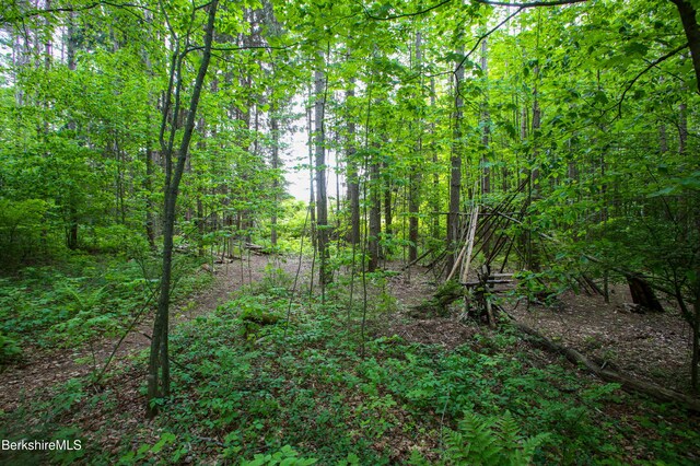 31 Oxbow Rd, Charlemont, MA 01339
