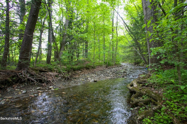 31 Oxbow Rd, Charlemont, MA 01339 - water view featuring a forest