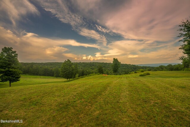 view of yard at dusk