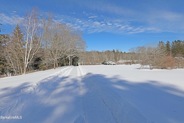 view of snowy yard