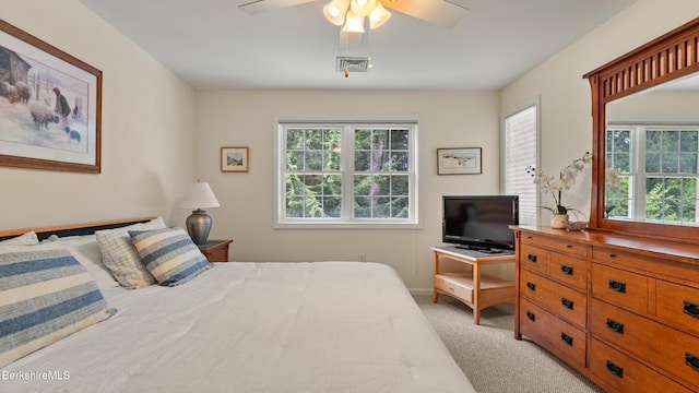 9074 Mountainside Dr, Hancock, MA 01237 - bedroom with multiple windows, light carpet, ceiling fan, and baseboards