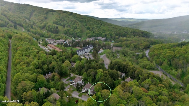 9074 Mountainside Dr, Hancock, MA 01237 - aerial view of property and surrounding area featuring a forest and a mountainous background