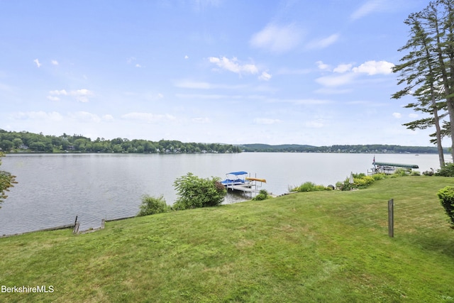 73 Narragansett Ave, Lanesborough, MA 01237 - water view with a boat dock