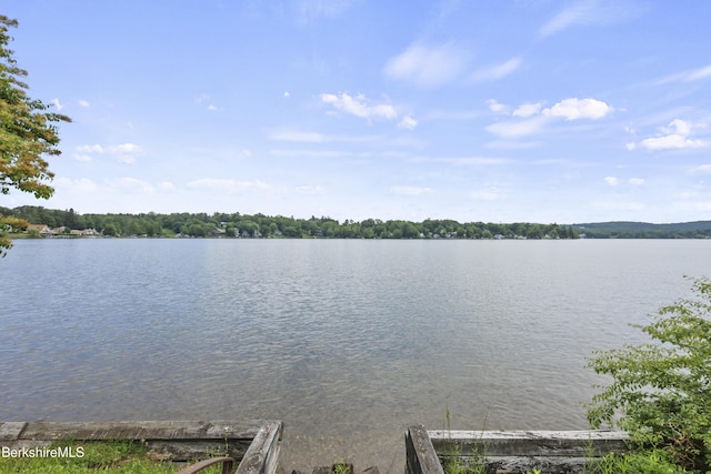 73 Narragansett Ave, Lanesborough, MA 01237 - water view