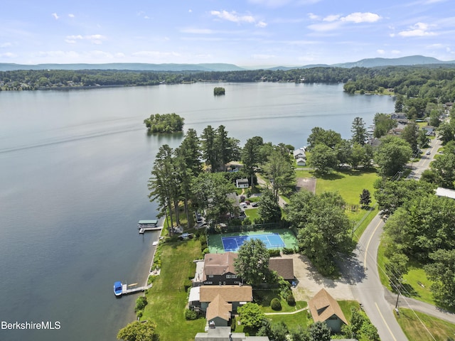 73 Narragansett Ave, Lanesborough, MA 01237 - aerial view of a water and mountain view