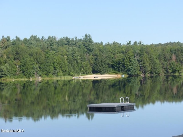 841 Moberg Rd, Becket, MA 01223 - dock area featuring a view of trees and a water view