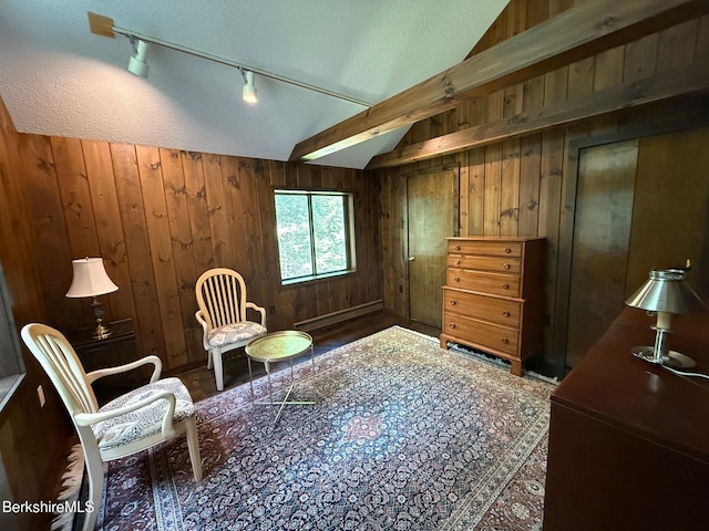 841 Moberg Rd, Becket, MA 01223 - living area featuring vaulted ceiling, wooden walls, a baseboard radiator, and track lighting