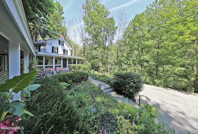 1 Train Hill Rd, Stockbridge, MA 01262 - view of yard