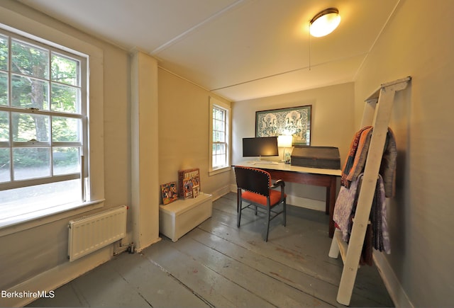 1 Train Hill Rd, Stockbridge, MA 01262 - office area featuring radiator heating unit and hardwood / wood-style flooring
