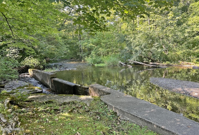 1 Train Hill Rd, Stockbridge, MA 01262 - exterior space