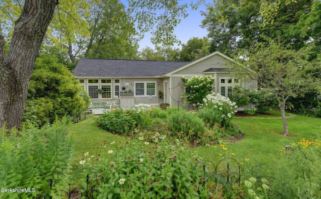 ranch-style house featuring a front yard