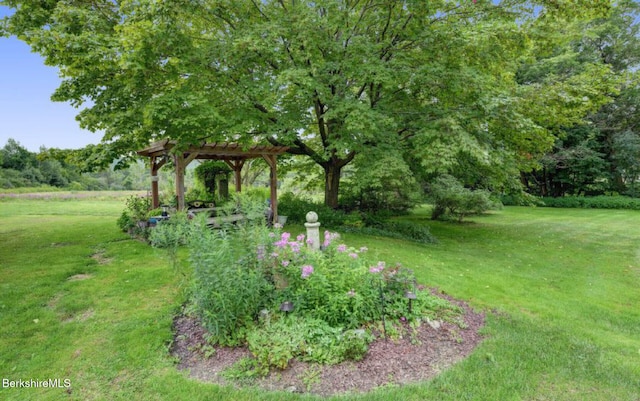 view of yard featuring a pergola