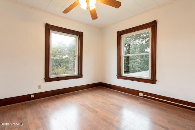 unfurnished room with ceiling fan and wood-type flooring