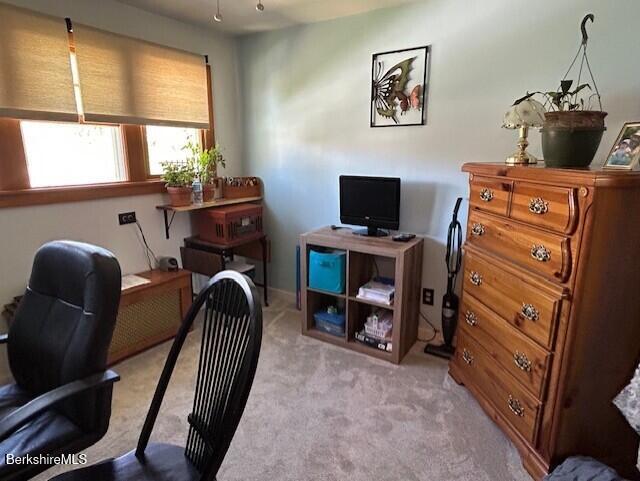 office area featuring carpet