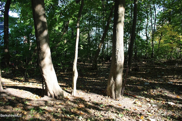 view of landscape