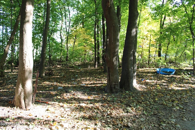 view of local wilderness