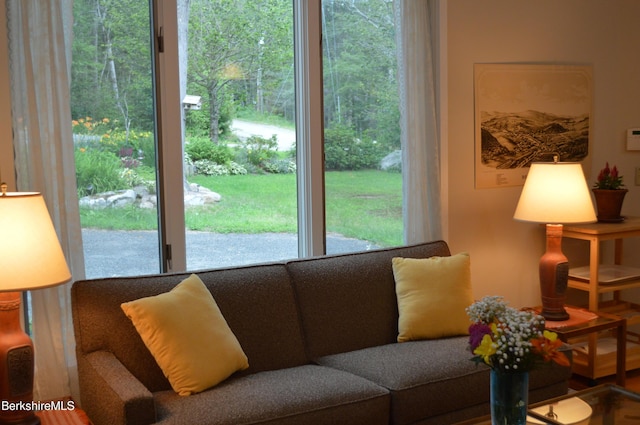 345 Big Bass Ln, Becket, MA 01223 - view of living room