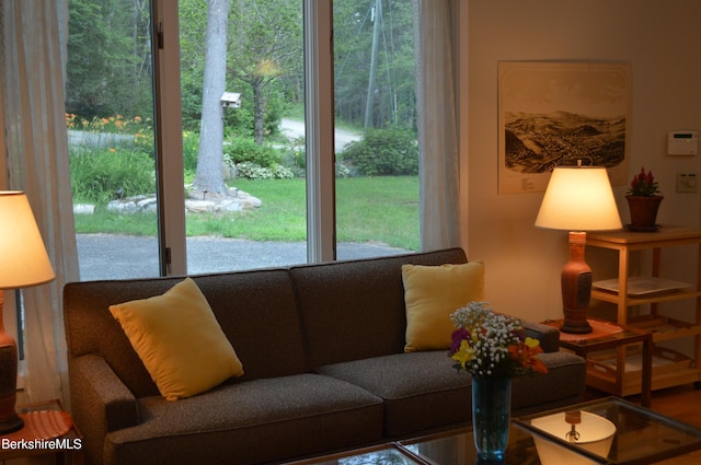 345 Big Bass Ln, Becket, MA 01223 - view of living area