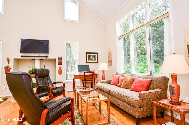 345 Big Bass Ln, Becket, MA 01223 - living room featuring wood finished floors, high vaulted ceiling, an office area, and crown molding