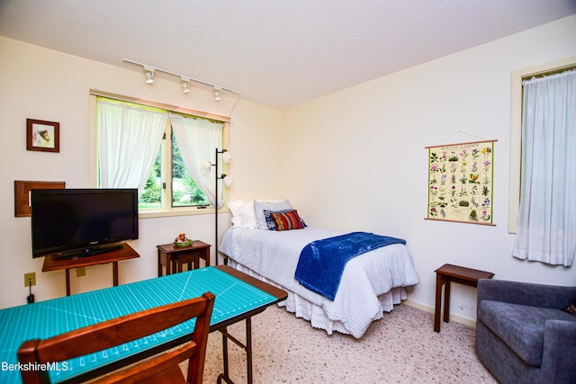 345 Big Bass Ln, Becket, MA 01223 - bedroom with rail lighting and baseboards