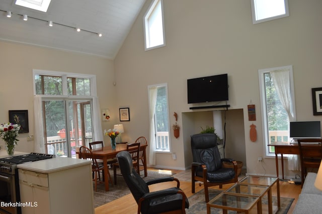 345 Big Bass Ln, Becket, MA 01223 - living room featuring high vaulted ceiling, track lighting, and light wood-type flooring