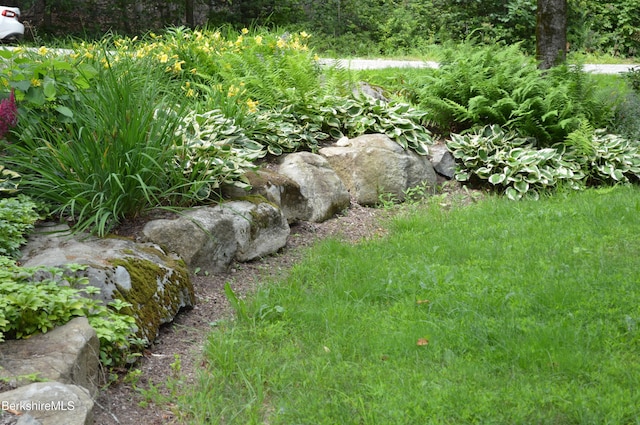345 Big Bass Ln, Becket, MA 01223 - view of yard