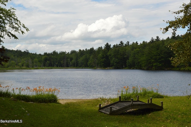 345 Big Bass Ln, Becket, MA 01223 - water view featuring a heavily wooded area