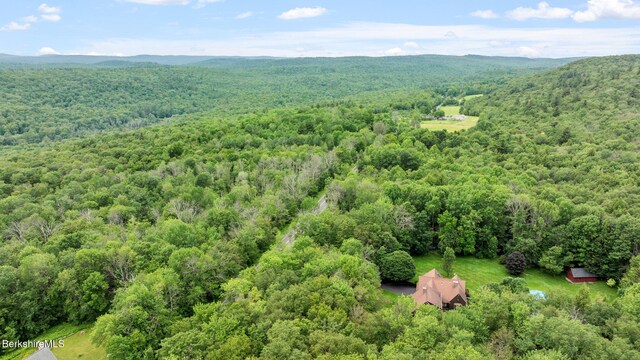 116 Skyline Trl, Middlefield, MA 01243 - photo 56