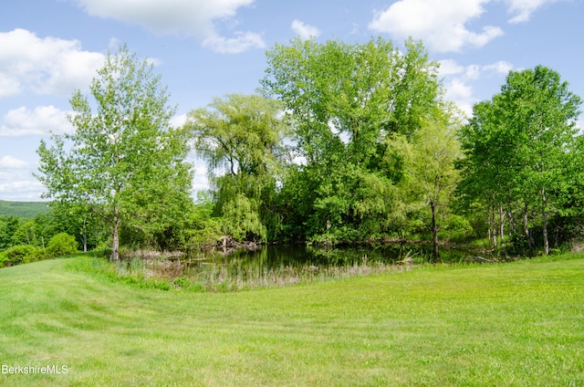 150 Sawchuck Rd, Millerton, NY 12546 - photo 7