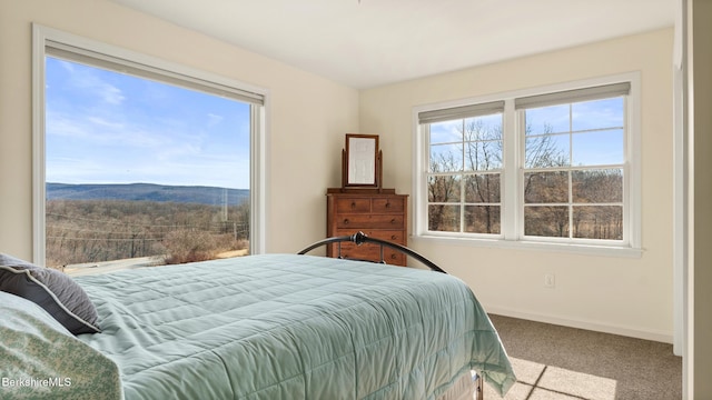 150 Sawchuck Rd, Millerton, NY 12546 - photo 31