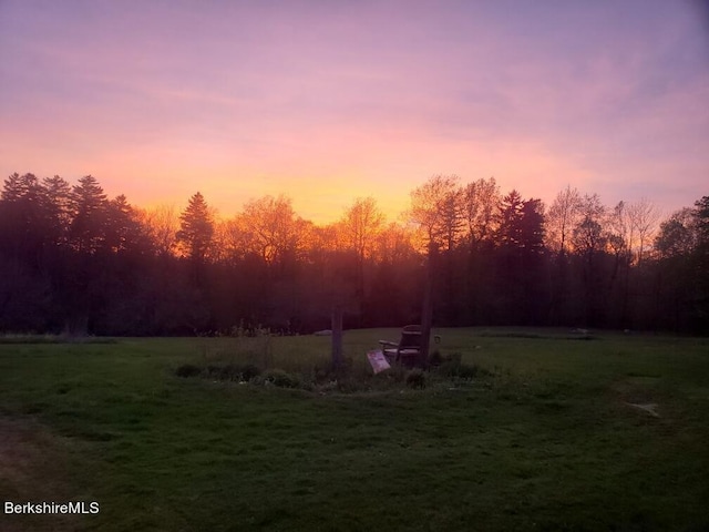 view of yard at dusk