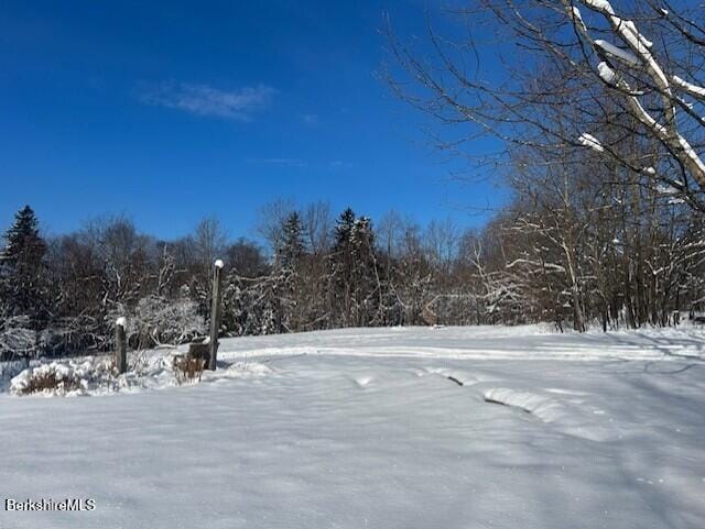 view of yard layered in snow