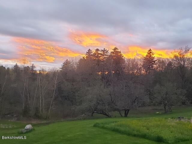 view of yard at dusk