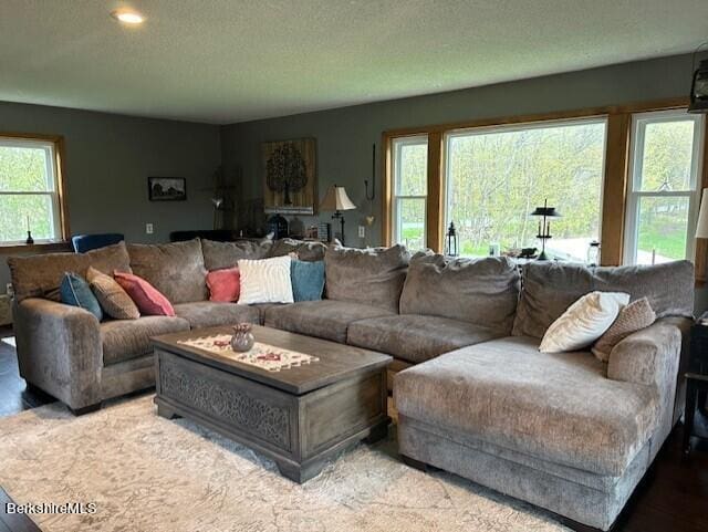 living room featuring a textured ceiling