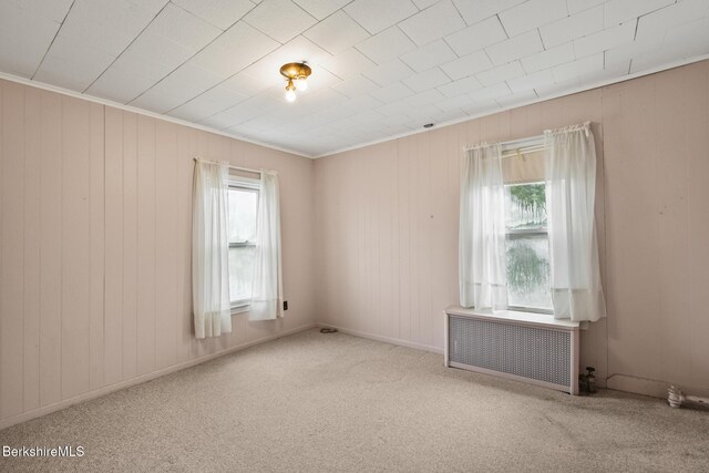 232 First St, Pittsfield, MA 01201 - empty room featuring plenty of natural light, radiator, carpet, wood walls, and crown molding