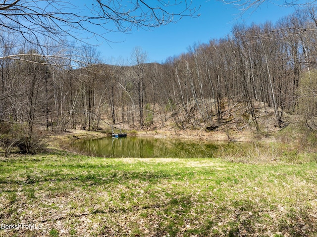 1151 Hancock Rd, Williamstown, MA 01267 - view of yard with a water view and a view of trees