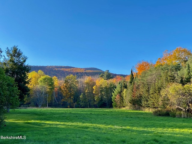 1151 Hancock Rd, Williamstown, MA 01267 - mountain view with a heavily wooded area