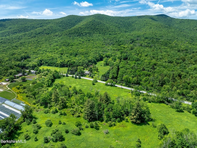 aerial view with a mountain view