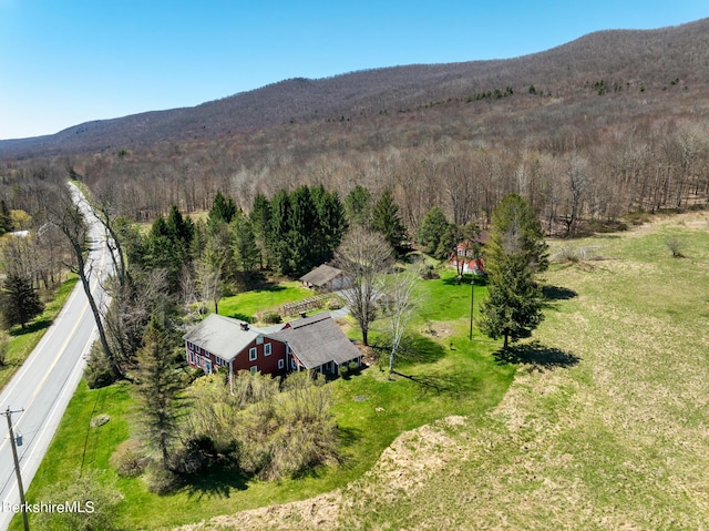 bird's eye view with a mountain view