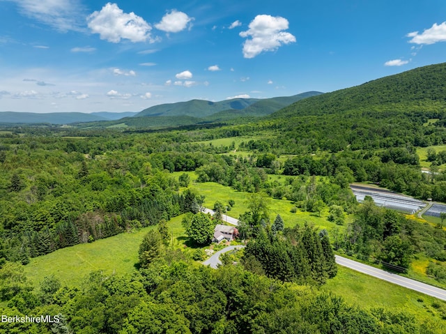 birds eye view of property with a mountain view