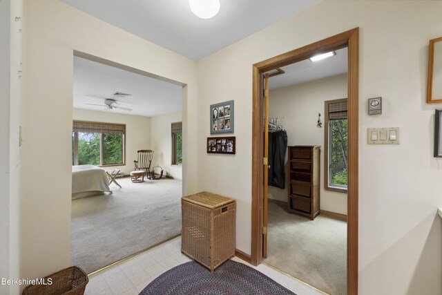 29 Old Village Rd, Alford, MA 01230 - photo 37