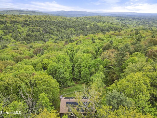 29 Old Village Rd, Alford, MA 01230 - photo 63