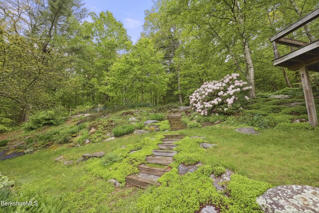 29 Old Village Rd, Alford, MA 01230 - photo 55