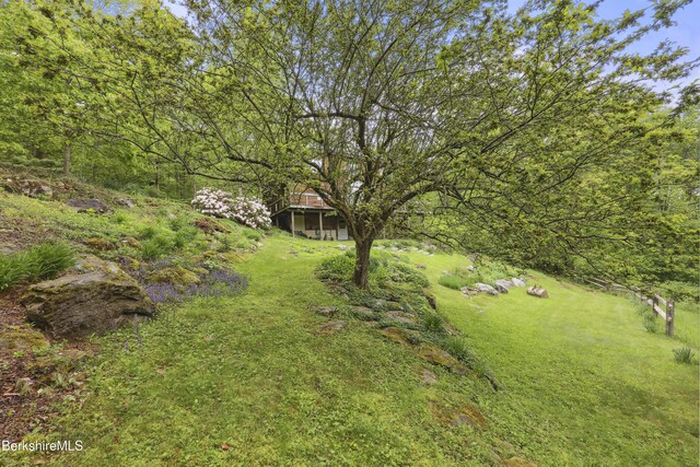 29 Old Village Rd, Alford, MA 01230 - photo 58